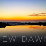 New Dawn