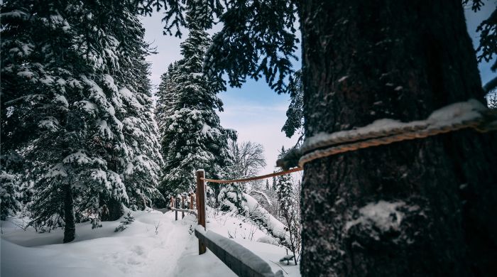 Labrador and Ireland’s Winter Pastimes: How Online Casinos Fill the Seasonal Gap